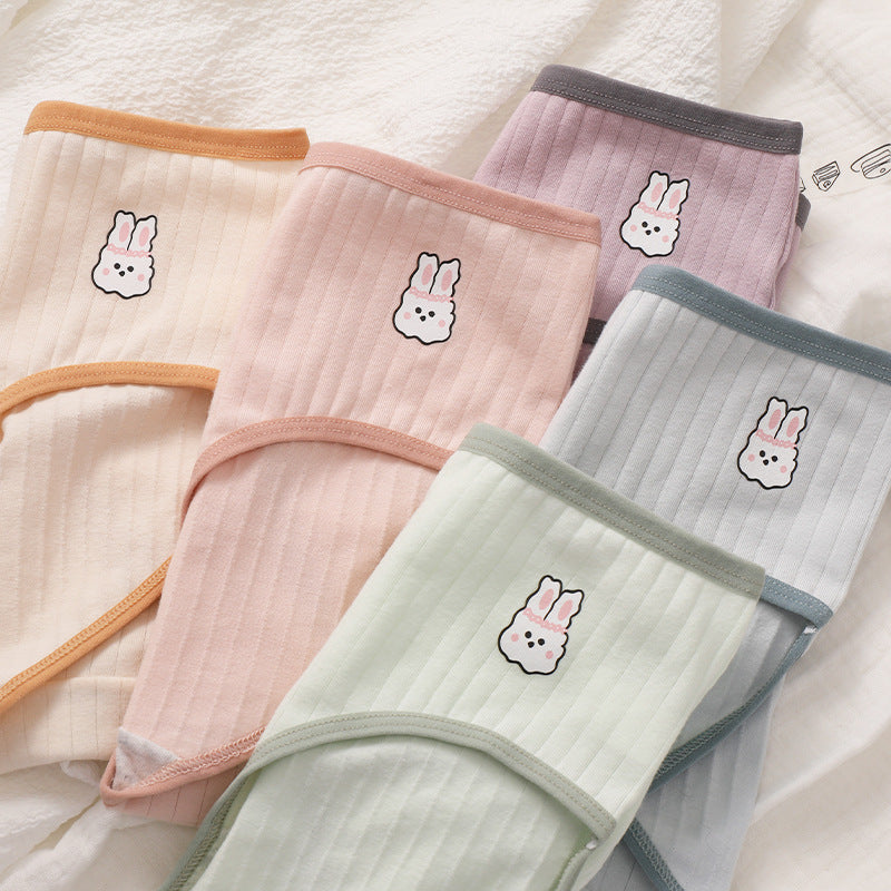 Cute Cotton Bunny Panties - Femboy Fashion