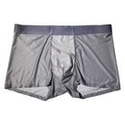 Sexy Boyshort Underwear - Femboy Fashion