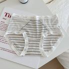 Gray Plus Size Striped Mesh Panties