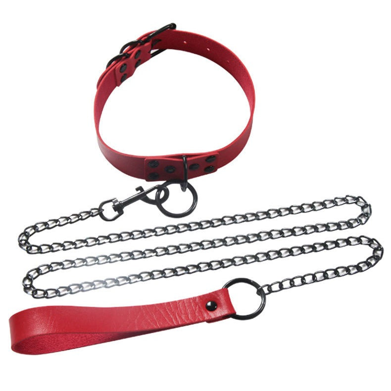 Red collar and chain leash on a white background