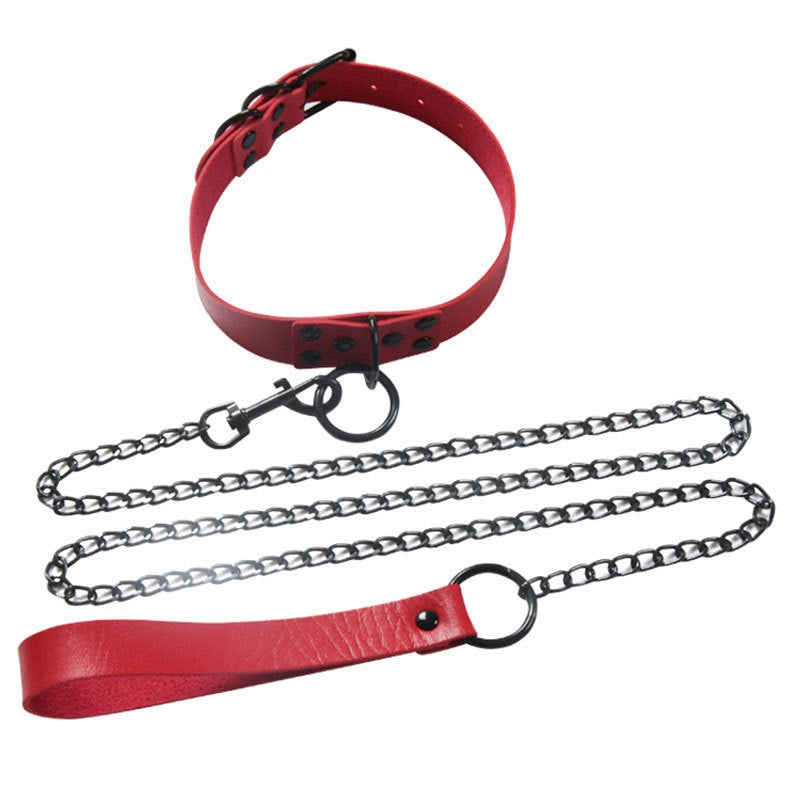 Red collar and chain leash on a white background