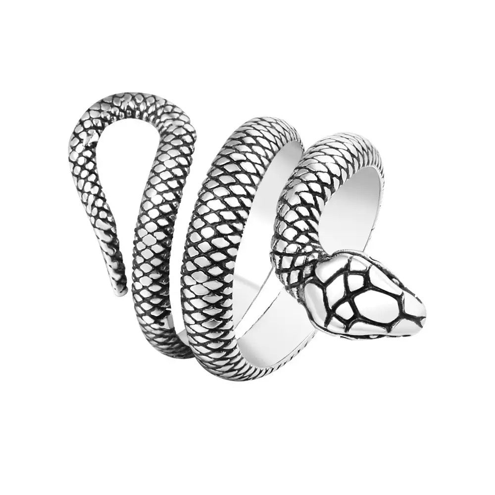 Silver snake-shaped ring on a white background