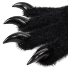 Black furry paw with sharp claws on a white background