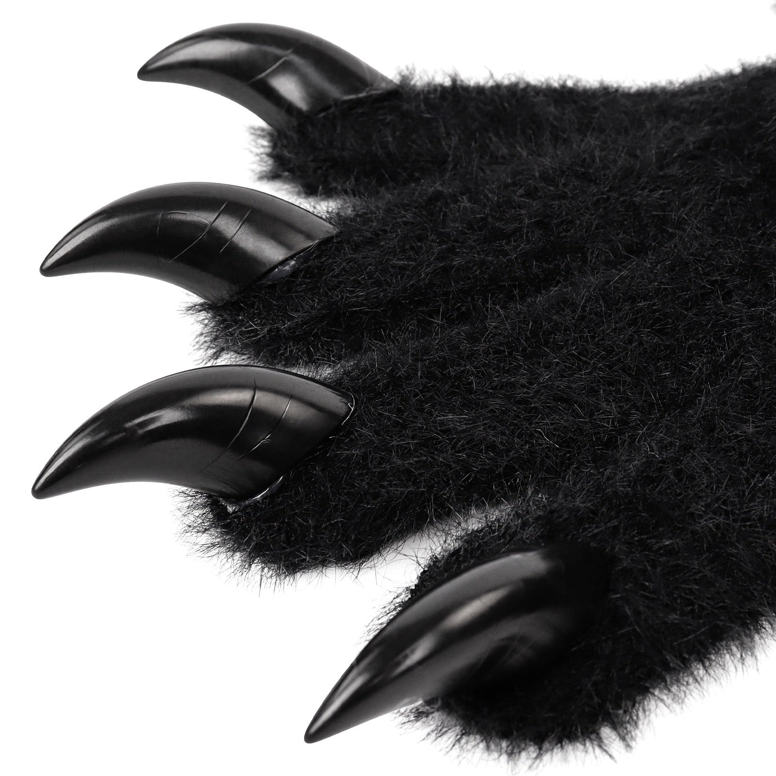 Black furry paw with sharp claws on a white background