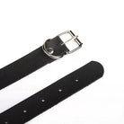 Black belt with silver buckle on a white background