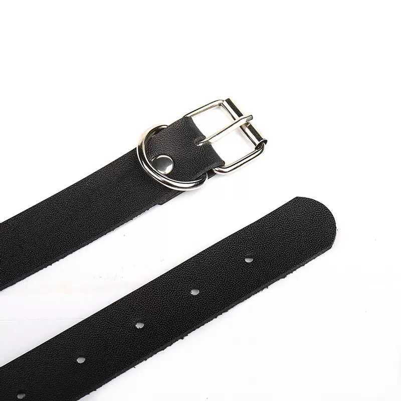 Black belt with silver buckle on a white background
