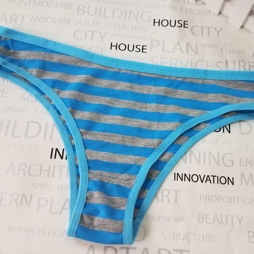 Blue and gray striped thong panties