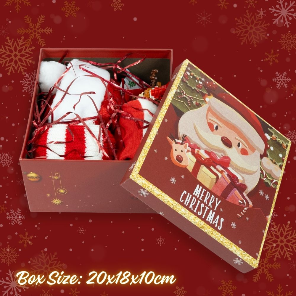 Femboy Christmas Mystery Gift Box