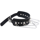 Black leather collar with silver chain and studs on a white background