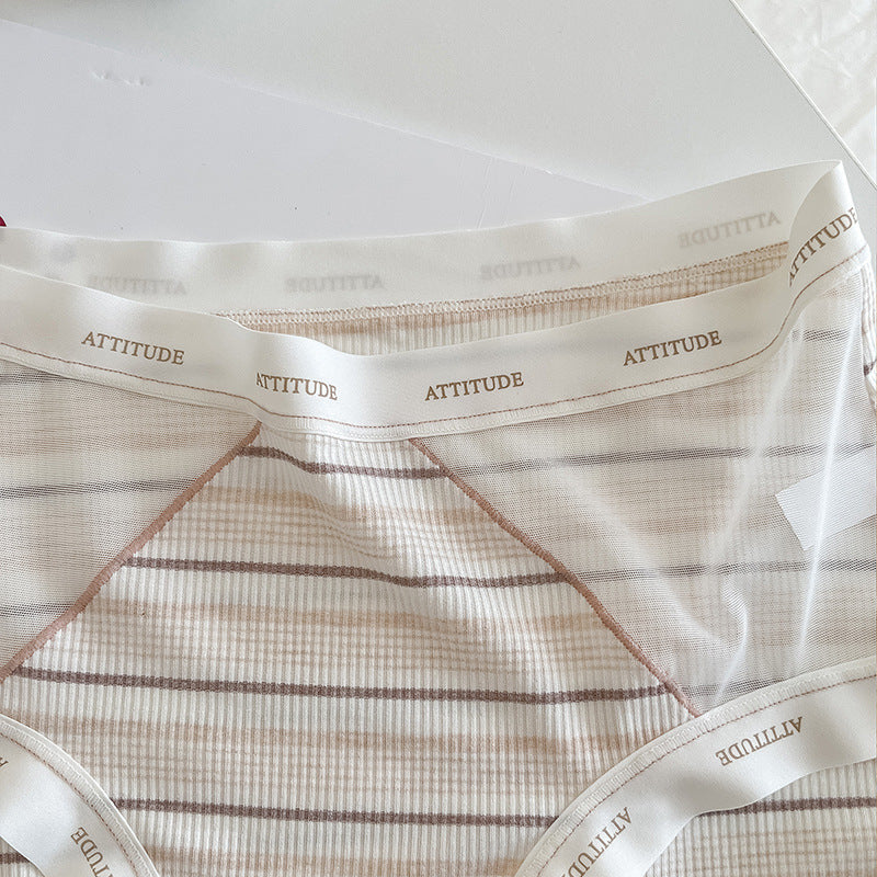 Plus Size Striped Mesh Panties Waist Detail