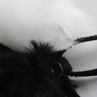 Thong Panty With Cat Tail Detail