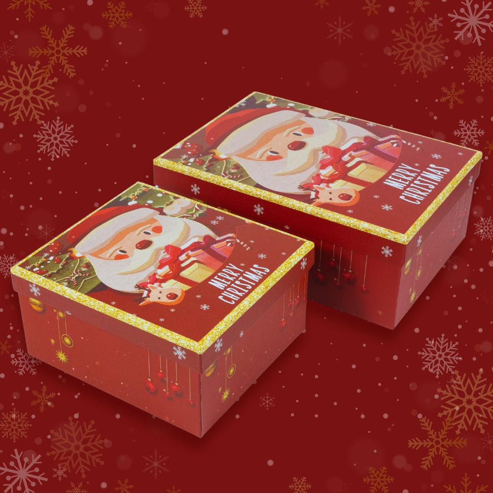 Two Femboy Christmas Mystery Gift Box